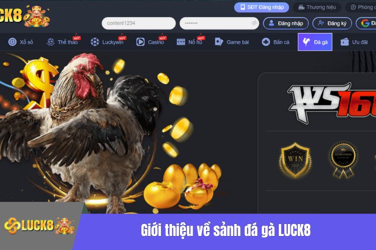 Giới thiệu về sảnh đá gà LUCK8