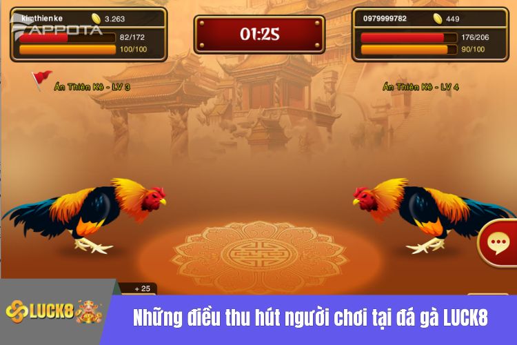 Những điều thu hút người chơi tại đá gà LUCK8